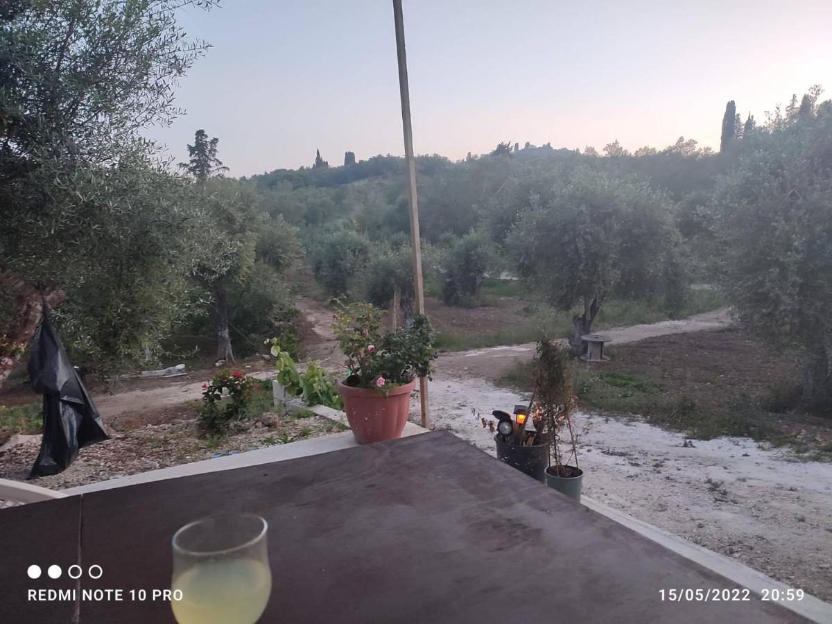 Corfu Oasis Studio Neochorakion Exterior foto