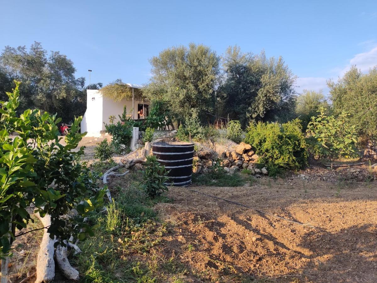 Corfu Oasis Studio Neochorakion Exterior foto